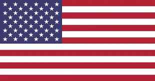 american flag-Austin