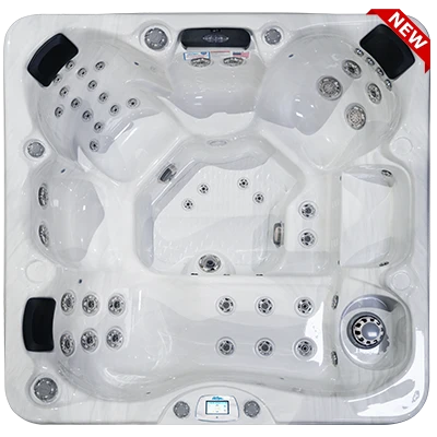 Avalon-X EC-849LX hot tubs for sale in Austin